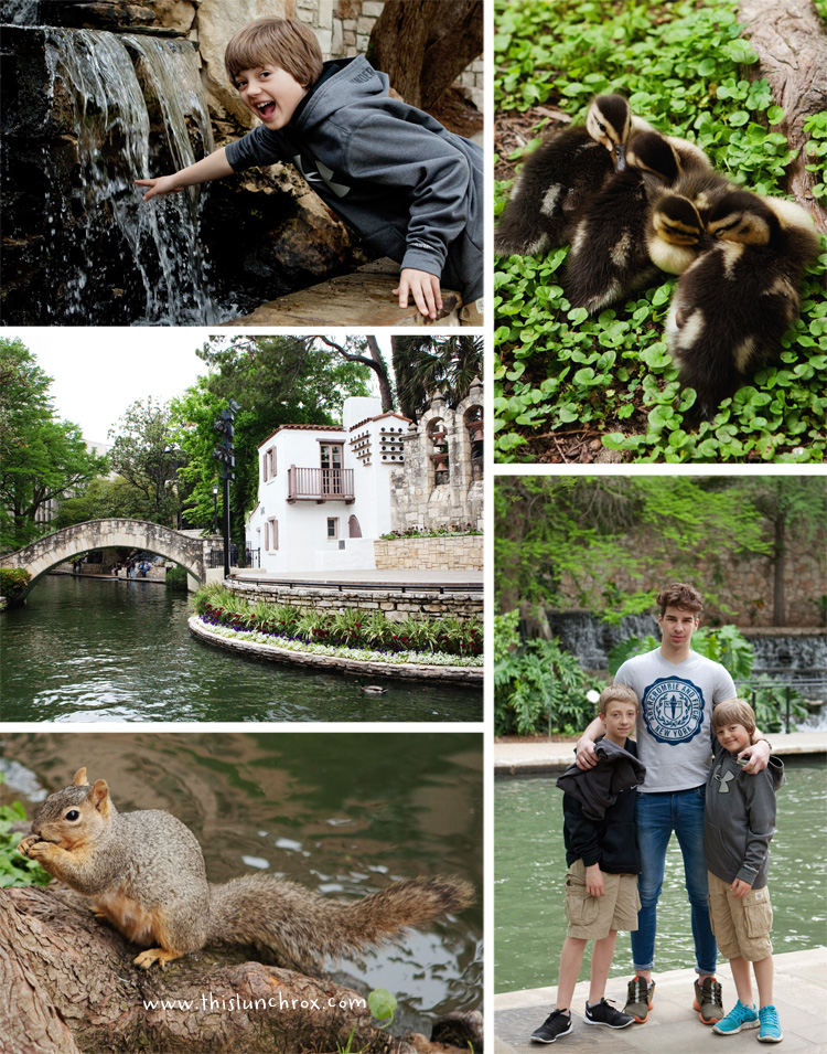 San Antonio Family Vacation by This Lunch Rox